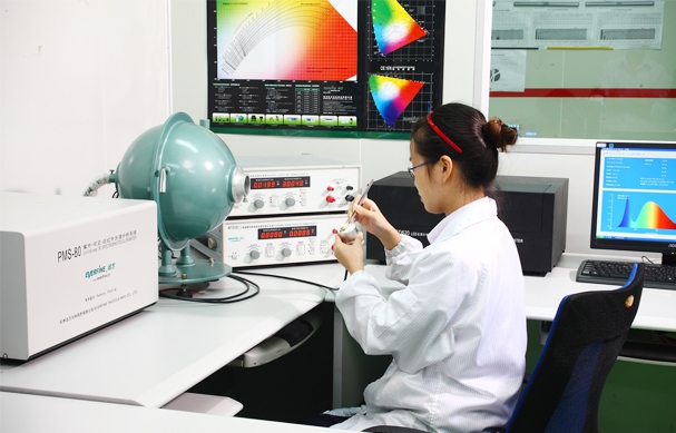 led verification service nationstar