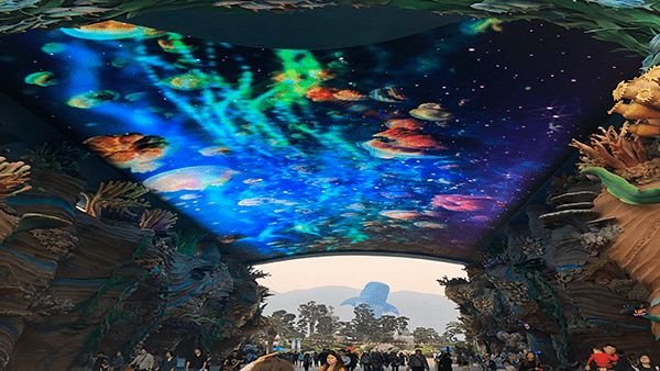 Ocean park led application