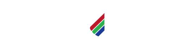 VISIONPI LOGO WHITE
